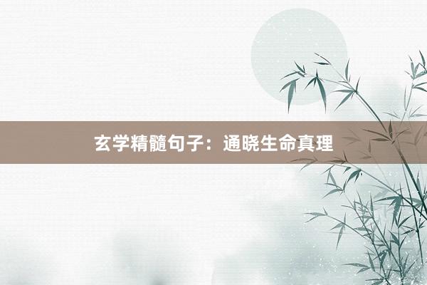 玄学精髓句子：通晓生命真理