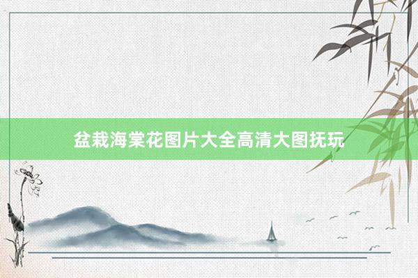 盆栽海棠花图片大全高清大图抚玩