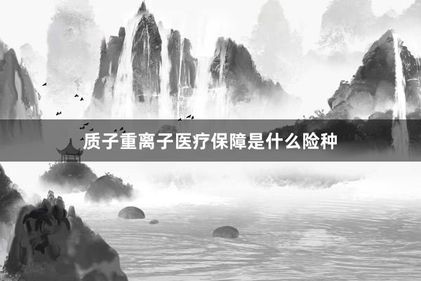 质子重离子医疗保障是什么险种