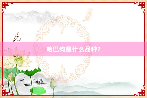 哈巴狗是什么品种？