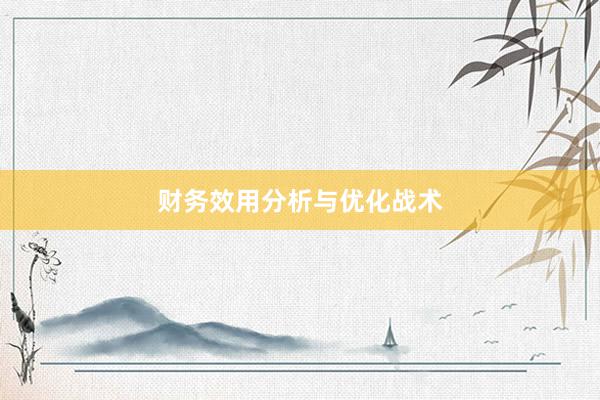 财务效用分析与优化战术